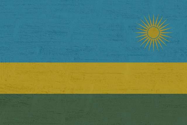 A Rwanda Launch Needs a Channel-Conflict Ledger Before a Second Distributor — AI-generated illustration