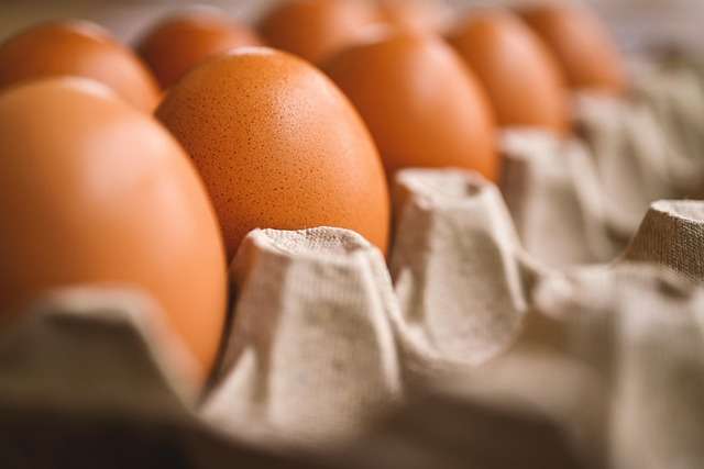 Egg Producers Settle Price Manipulation Allegations for $3.3 Million — AI-generated illustration