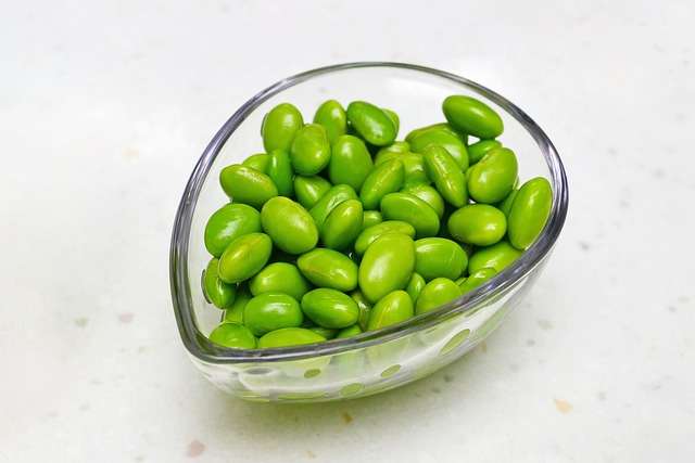 Soybean Futures Slide Despite USDA Downgrade in Crop Ratings — AI-generated illustration