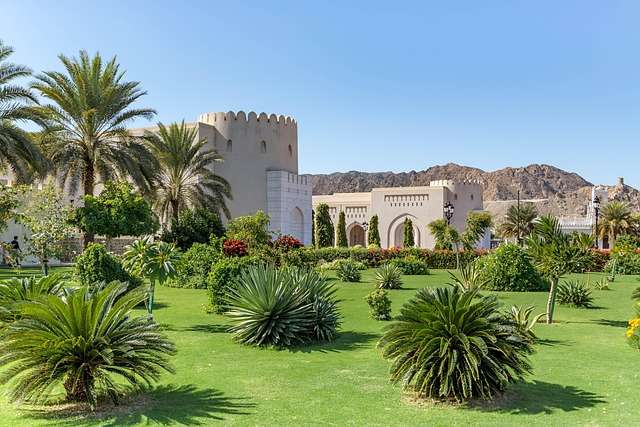 Temasek Unit, Oman Wealth Fund Back Vinpearl's $255M Private Credit Deal — AI-generated illustration